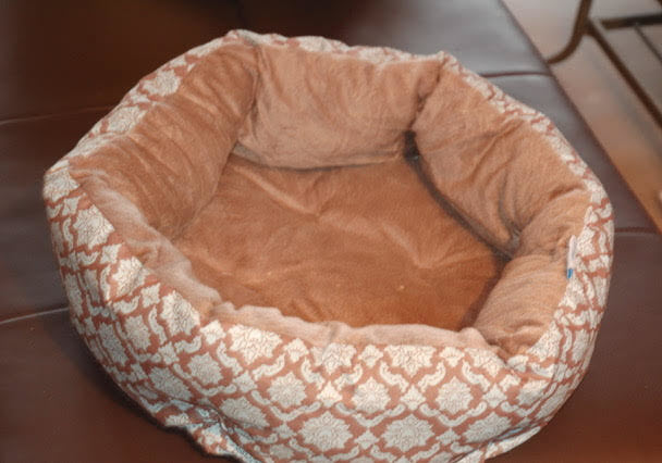 doggie bed
